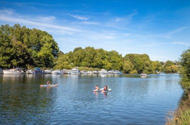İngiltere, Richmond 'daki Londra Borough' da, Petersham 'daki zevk teknelerinin yanındaki Thames Nehri' nde üç kişi kayak yapıyor..