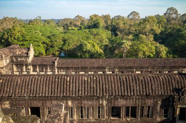 Kamboçya 'daki Angkor Wat tapınağının tepesinden kuzeybatıya bakıyor..