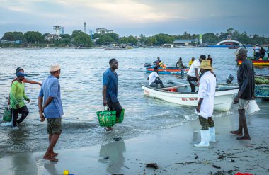 Bir pazar müfettişi, kapıcıların akşam Kivukoni Balık Pazarı, Dar es Salaam, Tanzanya 'ya vardıktan sonra geleneksel ahşap dhow balıkçı teknelerinden çanta dolusu ançüez taşımalarını izliyor.,