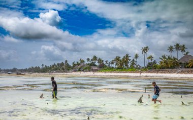 İki genç çocuk, Jambiani sahilinde, Zanzibar, Tanzanya 'da plastik sandallardan yapılan oyuncak yelkenliyle oynuyorlar.