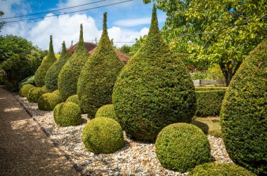 Topiary, İngiliz bahçesinde porsuk ağaçlarını simetrik dinamik şekillere dönüştürmek için kullanılır..