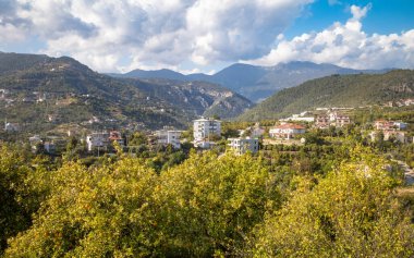 Türkiye 'nin (Türkiye) Antalya ilinin Alanya ilçesi yakınlarındaki Taurus (Toros) dağlarının eteklerinde meyve yüklü portakal ağaçları, bu turunçgillerin canlı renklerini ve doğal güzelliklerini gözler önüne sermek için yetişir.. 