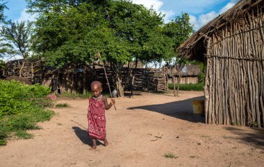 Shuka giymiş genç bir Maasai çocuğu Tanzanya 'nın Mikumi şehrinde tarlasında yürüyor.