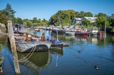 Londra, İngiltere 'nin batısındaki Eel Pie Adası' nın yanındaki Twickenham 'da Thames Nehri' ne demirlemiş tekneler ve mavnalar..