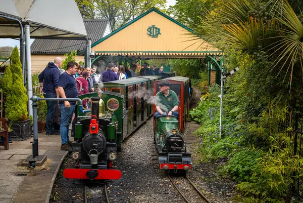 stock image A volunteer drives The Railway Mission minature steam locomotive and its coal tender at South Downs Light Railway, Pulborough, UK