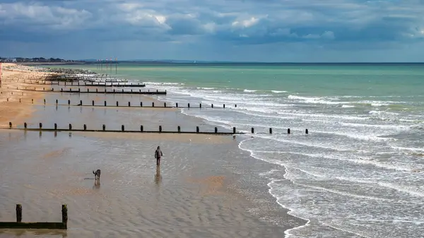 stock image A man walks his dog in the winter on the beach at Bognor Regis, West Sussex, UK