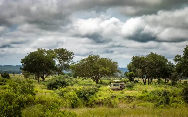 Stock image A 4x4 vehicle takes foreign tourists on safarai across the savanna inside Mikumi National Park, Tanzania.