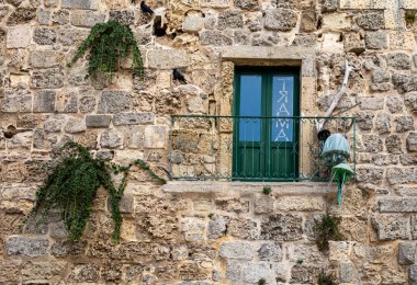 İtalya 'nın tarihi güney kenti Otranto, Apulia, İtalya' da bulunan antik bir binanın duvarından çıkan kapari çalıları (Capparis spinosa)..