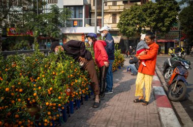 İnsanlar Tet Moon 'un yeni yılı için portakal meyveli kumkatları, Cau Giay, Hanoi, Vietnam almak için duruyor.