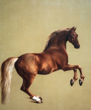 George Stubbs 'tan Whistlecoat. 1762 'de Canvas' ta yağlı boya. Ulusal Galeri, Londra, İngiltere. Whistlecoat emekli bir yarış atıydı ve Rockingham 'ın 2. Markizi' nin damızlık atıydı..