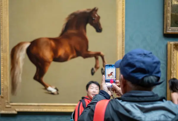 Asyalı turistler, George Stubbs 'ın Whistlecoat' unun fotoğraflarını çekiyor. 1762 'de Canvas' ta yağlı boya. Ulusal Galeri, Londra, İngiltere.