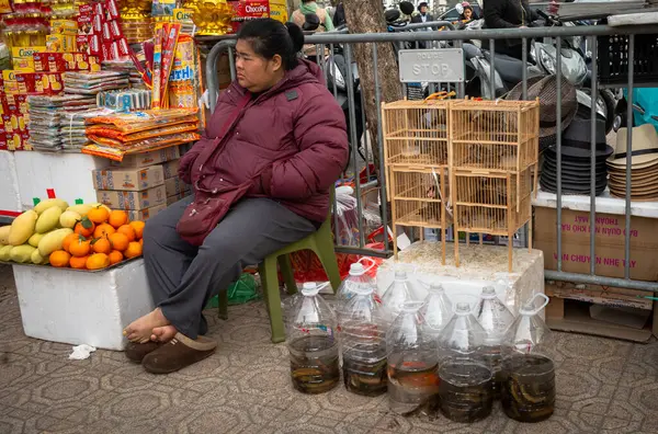 Vietnamlı bir kadın, ay yeni yılında (Tet) ataları Hanoi, Vietnam için adak kağıtları, canlı balıklar, canlı kuşlar ve yiyecek sunumları da dahil olmak üzere dini ve batıl öğeler satar..