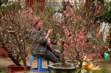 Vietnamlı bir kadın cep telefonuna bakar ve müşterilerin onun süslü şeftali çiçeklerini (hoa dao) bonsai ağaçlarını satın almasını bekler. Bu ağaçlar her yıl Hanoi, Vietnam 'da (Tet) çiçek pazarında görülür..