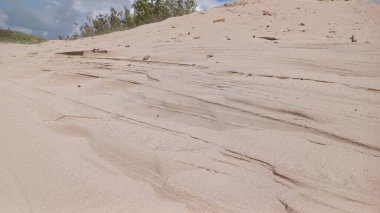 Güzel kumsallı deniz kıyısı