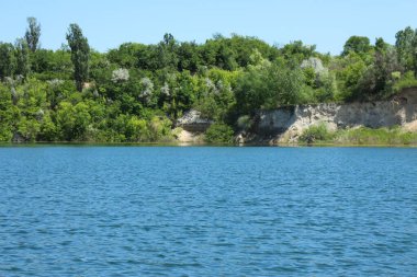 lake in the summer day