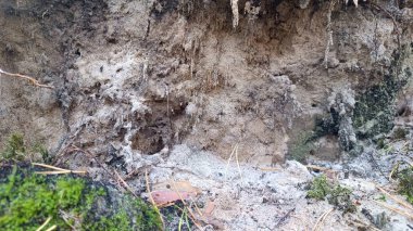 Doğanın güzel manzarası