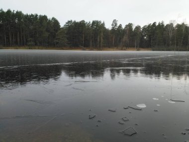 Ormanda kış gölü