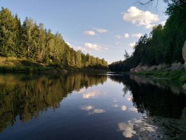 Ağaçlar ve yeşilliklerle çevrili güzel bir nehir görüntüsü.