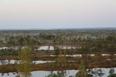 Bataklıktaki bataklığa bak.