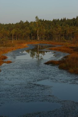 Doğanın güzel manzarası
