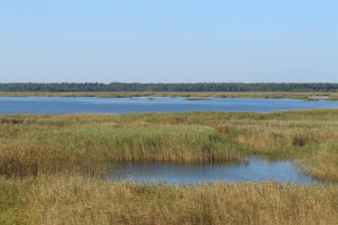 Kırsal kesimde güzel bir nehir manzarası