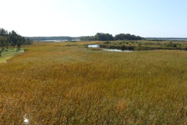 Arka planda nehir ve göl olan güzel bir manzara.