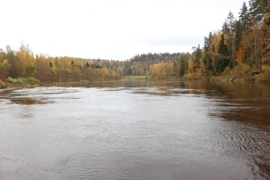 Sonbahar ormanındaki nehir..