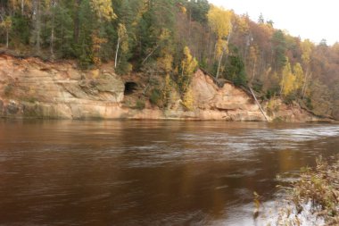 Ormandaki güzel sonbahar nehri. Rusya