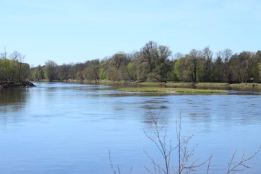 Nehir, ağaçlar ve parktaki su.