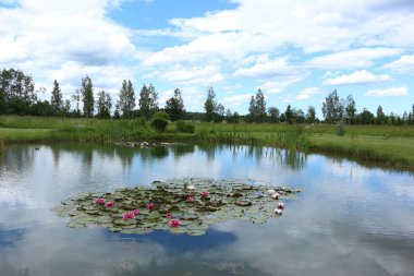 Parktaki gölün güzel manzarası
