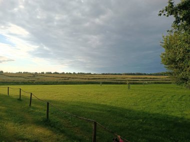 Çimen tarlası ve bulutlu gökyüzü olan güzel bir manzara.