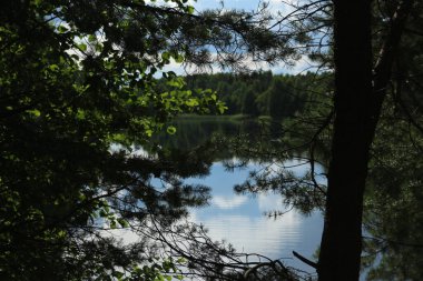 a lake in the middle of a forest