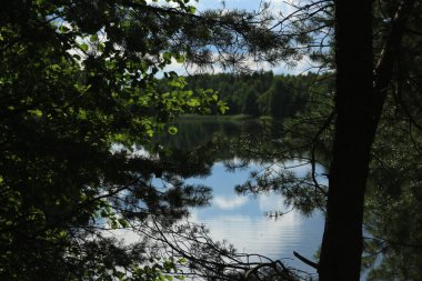 Ormandaki gölün güzel manzarası