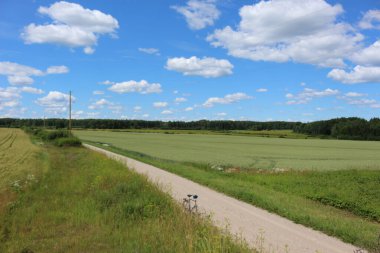 Yeşil çimenli manzara