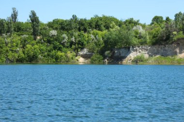 Ormandaki gölün güzel manzarası