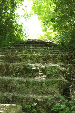 Parktaki merdivenler.