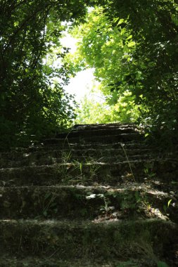 Parkın güzel manzarası