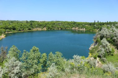 Göl ve yeşil orman