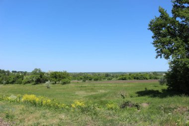 Yeşil çimenli yaz manzarası