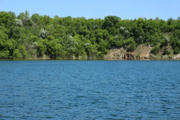 Yazın ormandaki göl.