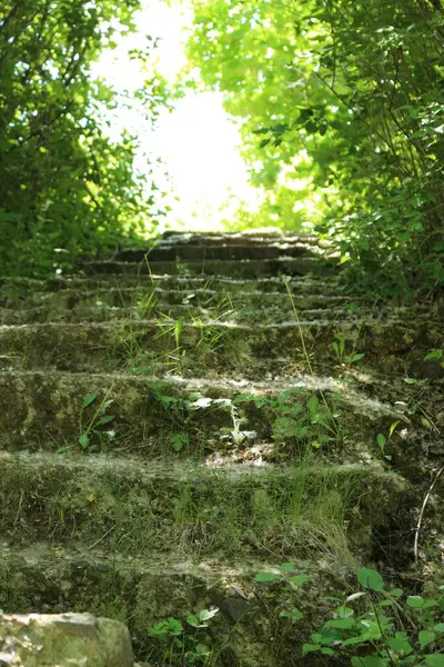 Parktaki merdivenler.