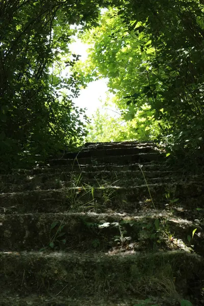Parkın güzel manzarası