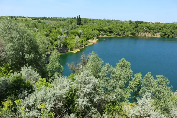 Yeşil ormanı olan bir göl