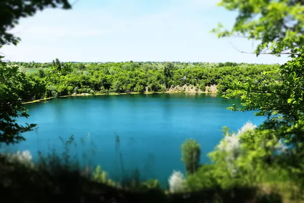 Göl ve ağaçlarla dolu güzel bir manzara