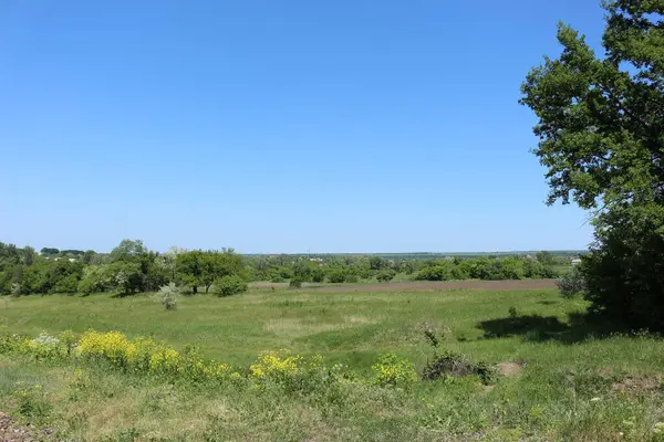 Yeşil çimenli yaz manzarası