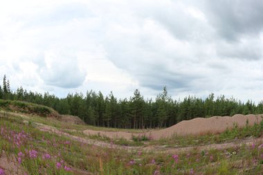 Rus Ormanı 'ndaki manzara