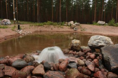 Ormanda küçük bir nehir.