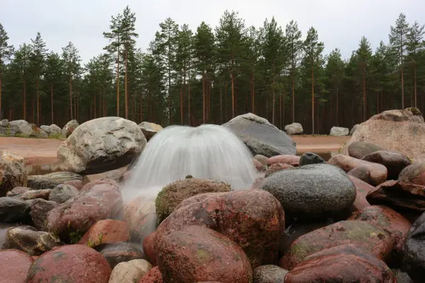 Ormanda taşlar ve su