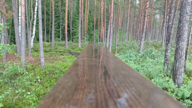 Doğanın güzel manzarası