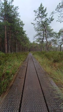 Parkın güzel manzarası